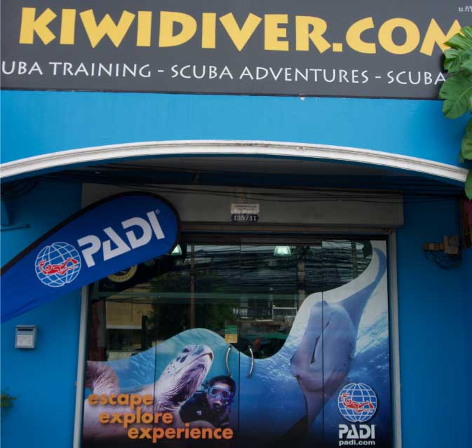 Kiwidiver.com - Logo