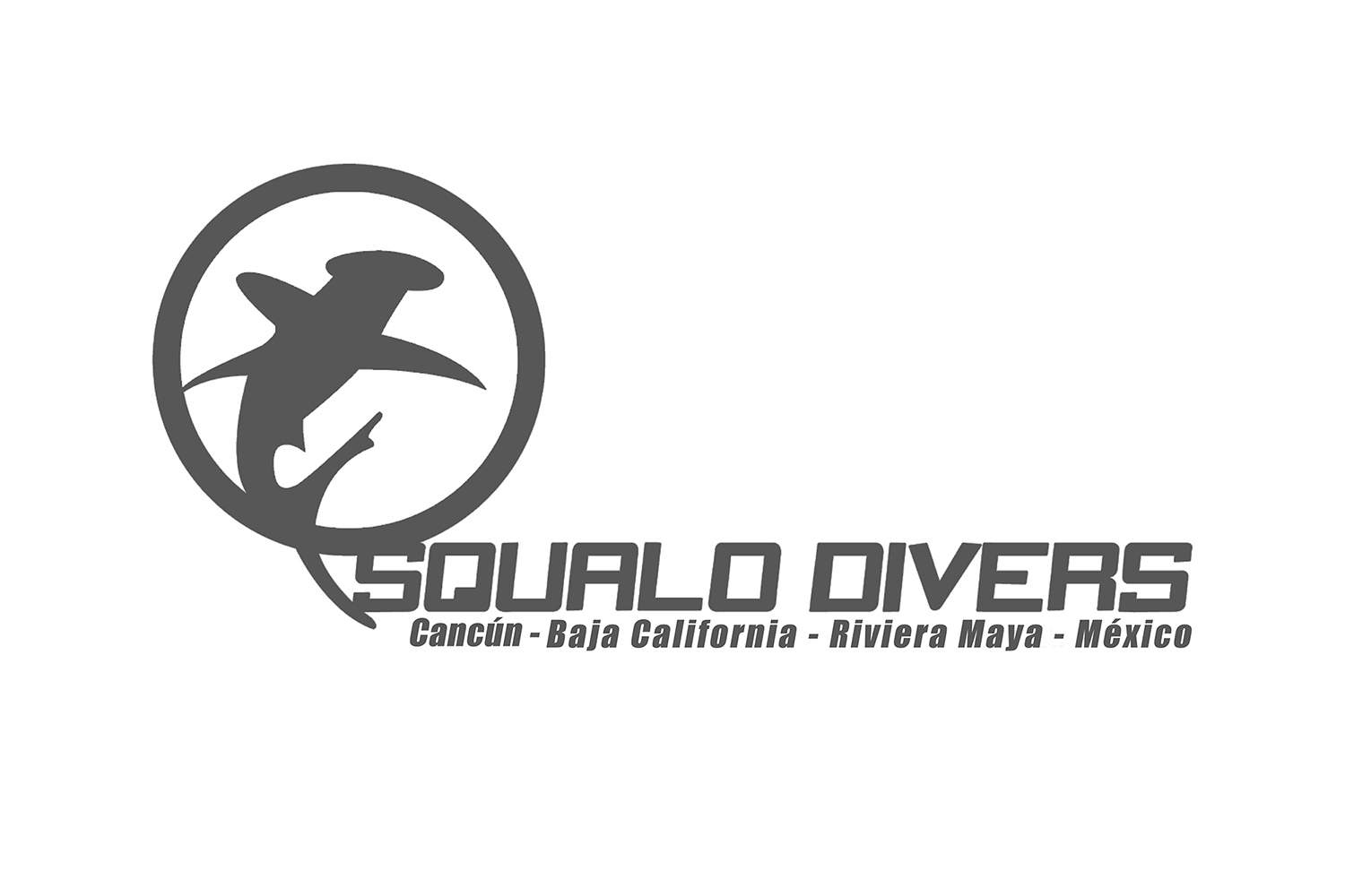 Squalo Divers - Logo
