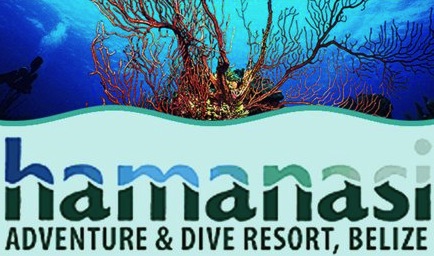 Logo Hamanasi