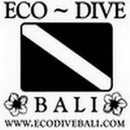 Eco Dive Bali - Logo