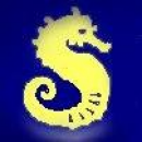 Logo Scuba 2000