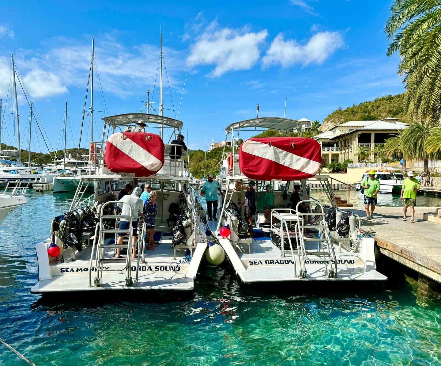 Dive BVI
