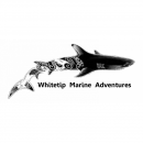 Whitetip Marine Adventures - Logo