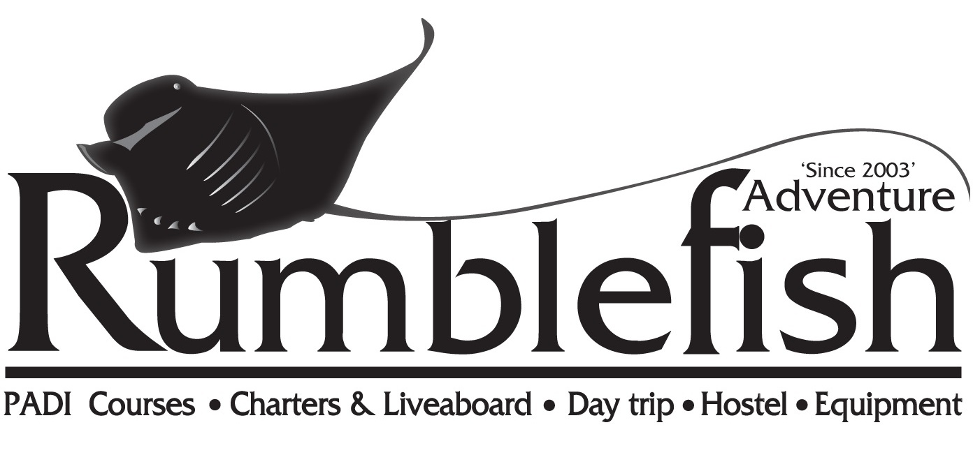 Rumble Fish Adventure - Logo