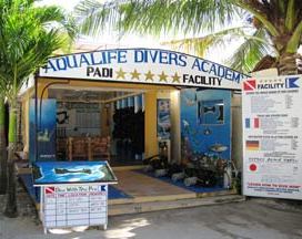Aqualife Divers Academy - Logo