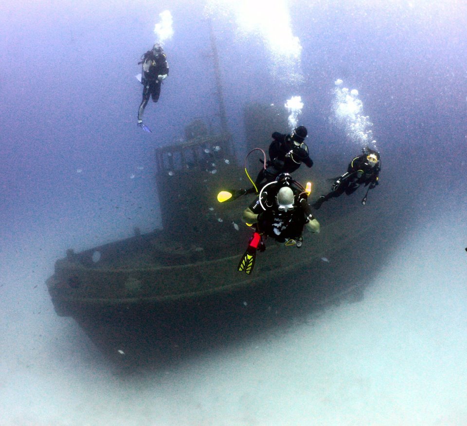 Dawn Diving - Logo