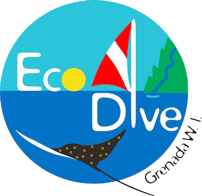 Eco Dive - Logo
