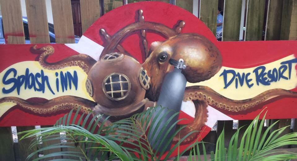 Logo Splash Inn