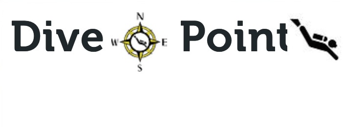 Dive Point - Logo