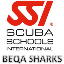 Beqa Sharks - Logo