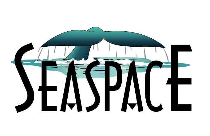 Seaspace - Logo
