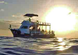 We B Divin' Cozumel - Logo