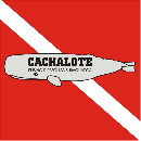 Cachalote - Logo