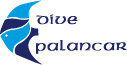Dive Palancar - Logo