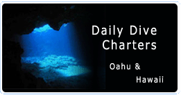 Breeze Hawaii Diving Adventures - Logo