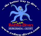 RedSea-Divers - Logo