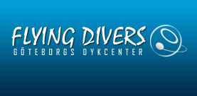 Flying Divers - Logo