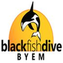 BLACKFISH DIVE CENTER - Logo